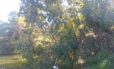 Venta De Parcela Agricola En Mallarauco