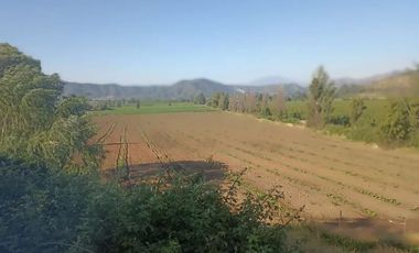Venta De Parcela Agricola En Mallarauco