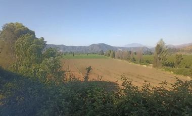 Venta De Parcela Agricola En Mallarauco