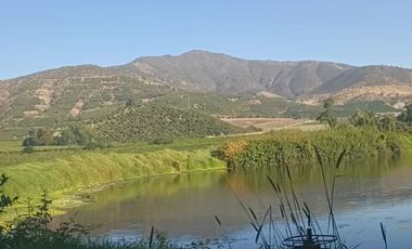 Venta De Parcela Agricola En Mallarauco