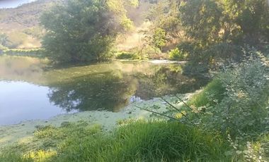 Venta De Parcela Agricola En Mallarauco