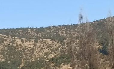 Venta De Parcela Agricola En Mallarauco