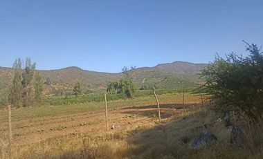 Venta De Parcela Agricola En Mallarauco