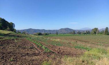 Venta De Parcela Agricola En Mallarauco