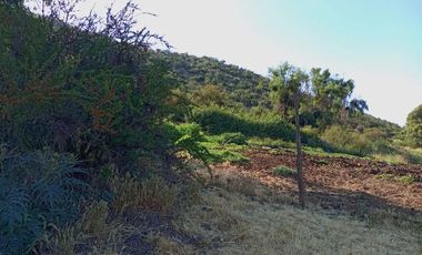 Venta De Parcela Agricola En Mallarauco