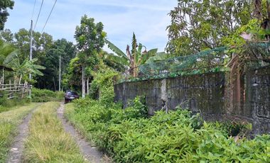 BACOLOD CITY LOT FOR SALE