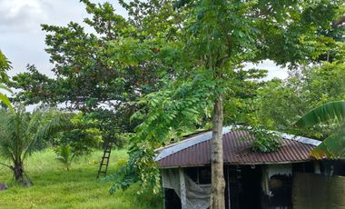 BACOLOD CITY LOT FOR SALE