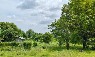 BACOLOD CITY LOT FOR SALE