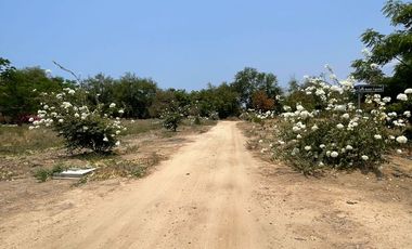 EL ROBLE, LA OPORTUNIDAD DE CAMBIAR TU ESTILO DE VIDA.
