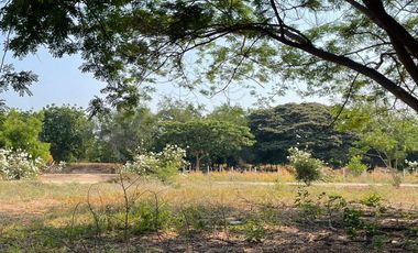 EL ROBLE, LA OPORTUNIDAD DE CAMBIAR TU ESTILO DE VIDA.