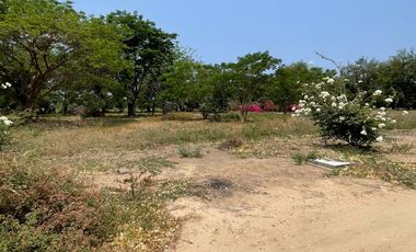 EL ROBLE, LA OPORTUNIDAD DE CAMBIAR TU ESTILO DE VIDA.