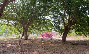 EL ROBLE, LA OPORTUNIDAD DE CAMBIAR TU ESTILO DE VIDA.