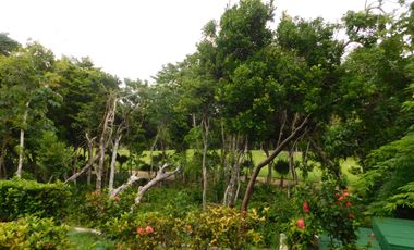 Departamento en Venta en Tulum Country Club. Bahía Príncipe