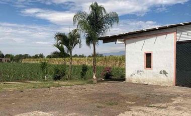 9 hectáreas a pie de carretera