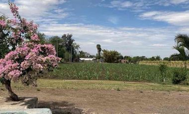 9 hectáreas a pie de carretera