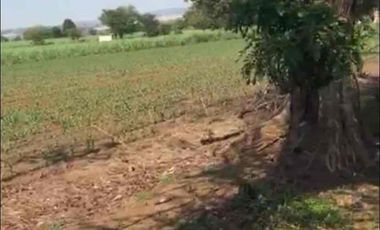 9 hectáreas a pie de carretera