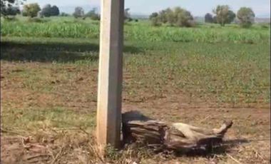 9 hectáreas a pie de carretera