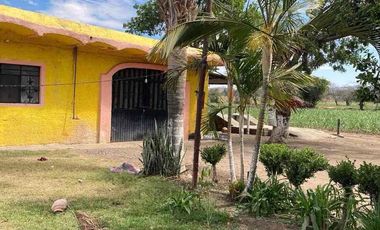 9 hectáreas a pie de carretera