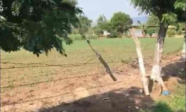 9 hectáreas a pie de carretera