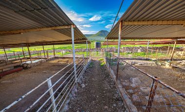 HERMOSO RANCHO EL AGUACERO EN VENTA; ETZATLÁN, JALISCO. MÉXICO.
