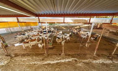 HERMOSO RANCHO EL AGUACERO EN VENTA; ETZATLÁN, JALISCO. MÉXICO.