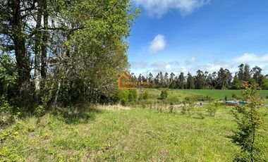 Parcela y dos cabañas camino Pitruquén-Ñancul.   OPORTUNIDAD