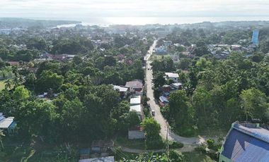 NEWLY BUILT HOUSE AND LOT FOR SALE FULLY FURNISHED IN TAGBILARAN CITY BOHOL