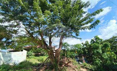 Residential Lot at The Yanarra Seaside Residences for SALE