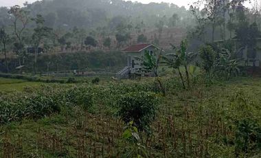 JUAL CEPAT TANAH MURAH ARJASARI BANDUNG SELATAN