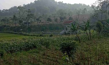 JUAL CEPAT TANAH MURAH ARJASARI BANDUNG SELATAN