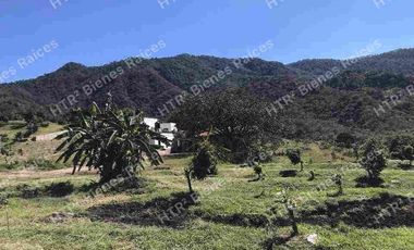 Venta de hectáreas de aguacate 🥑