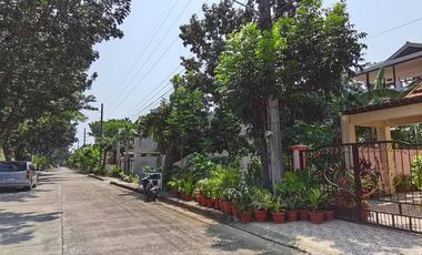 HOUSE AND LOT FOR SALE IN AGUS LAPULAPU CITY