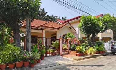 HOUSE AND LOT FOR SALE IN AGUS LAPULAPU CITY
