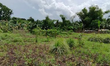 BACOLOD CITY LOT FOR SALE