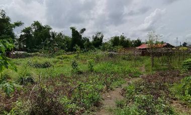 BACOLOD CITY LOT FOR SALE