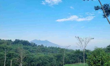 Jual Villa Aesthetic Kalamaya Ecolodge Puncak Bogor