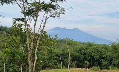 Jual Villa Aesthetic Kalamaya Ecolodge Puncak Bogor