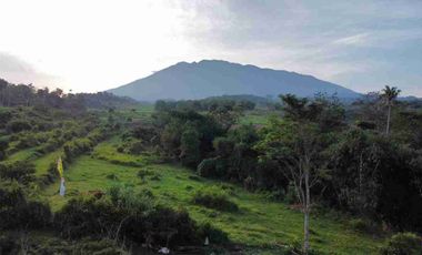 Jual Villa Aesthetic Kalamaya Ecolodge Puncak Bogor