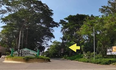 BACOLOD CITY GRANADA LOT FOR SALE