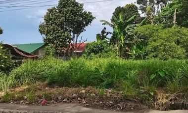 BACOLOD CITY GRANADA LOT FOR SALE