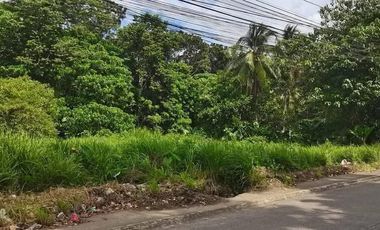 BACOLOD CITY GRANADA LOT FOR SALE