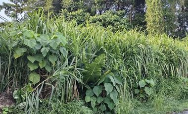 Bacolod City Lot for sale