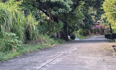 Bacolod City Lot for sale