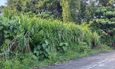 Bacolod City Lot for sale