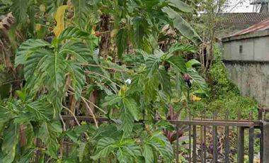 Tanah 309 Wayhitam Demang Pakjo Griya Agung Murah palembang