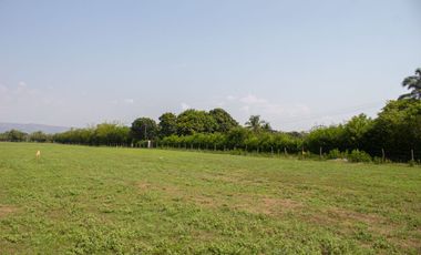 Vive rodeado de naturaleza a minutos de Melgar en lotes desde los 2.126m²
