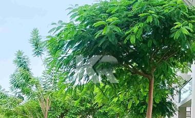 DEPARTAMENTO AMUEBLADO Y CARRITO DE GOLF EN VENTA