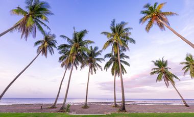 SOLMERA COAST - DMCI BEACHFRONT CONDOTEL | HASSLE FREE PASSIVE INCOME