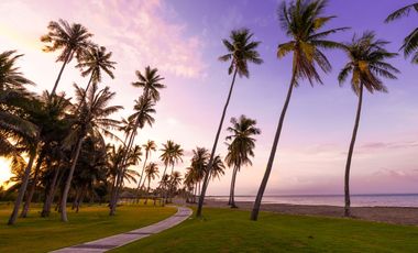 SOLMERA COAST - DMCI BEACHFRONT CONDOTEL | HASSLE FREE PASSIVE INCOME