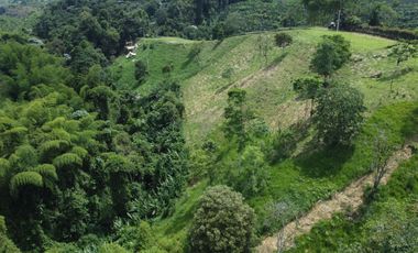 EN VENTA LOTE EN TRIBUNAS DE 8600 M2